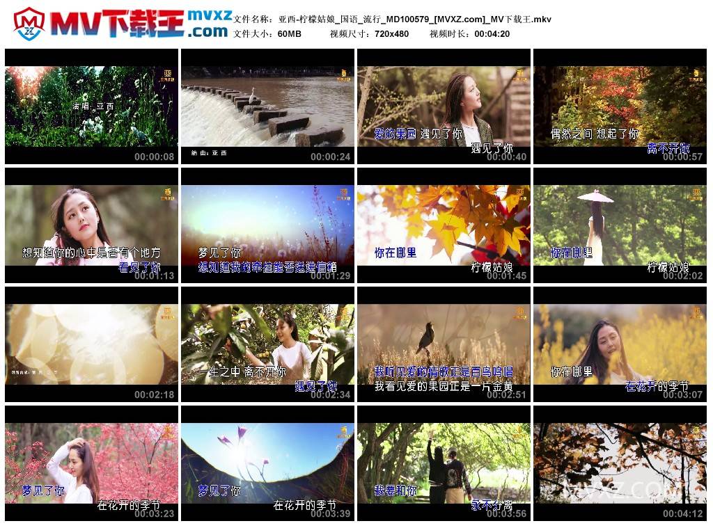 亚西-柠檬姑娘_国语_流行_MD100579